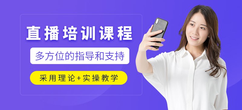 远程教学系统的兴起与变化